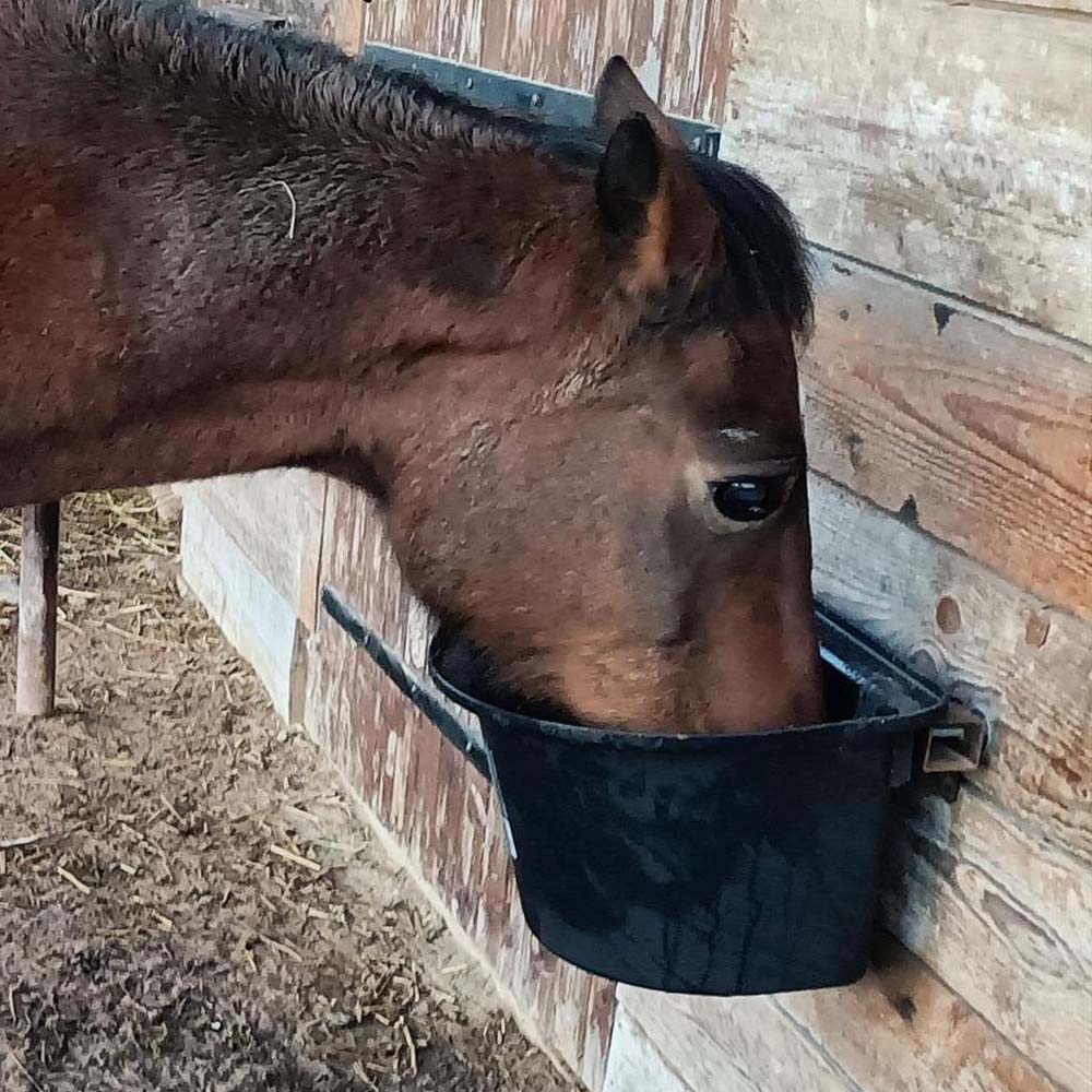 Mangiatoia portatile con staffa per aggancio in plastica antischegge - Image 22
