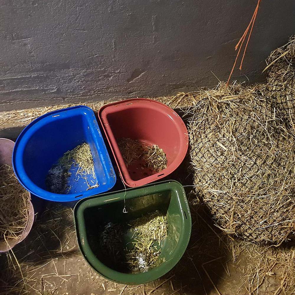 Mangiatoia portatile con staffa per aggancio in plastica antischegge - Image 23