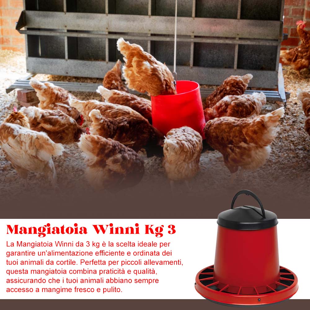 Mangiatoia Winni Kg 3 - Image 4