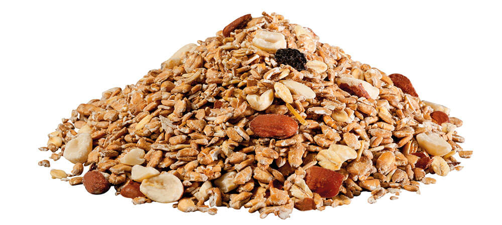 Mangime Panto Per Uccelli Selvatici, 1kg - Image 3