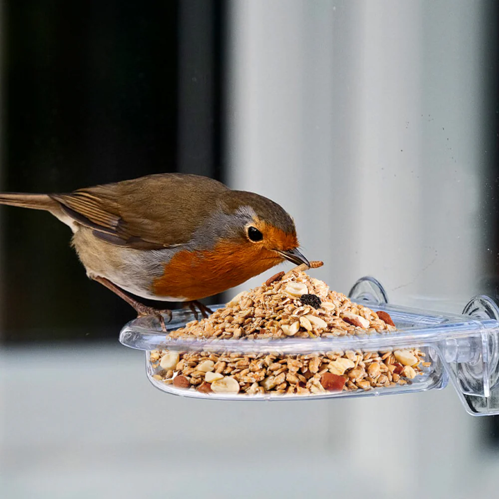 Mangime Panto Per Uccelli Selvatici, 1kg - Image 6