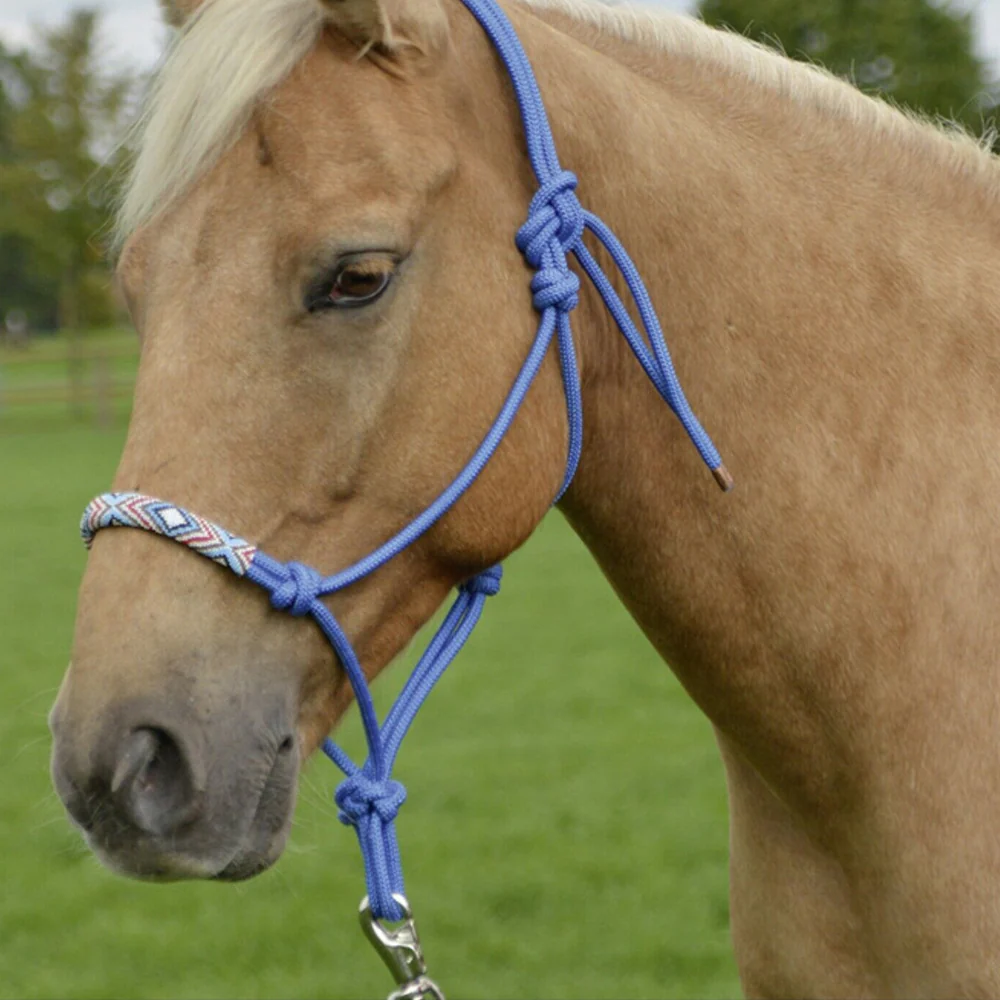 Moschettone zincato con anello girevole per animali - Image 3
