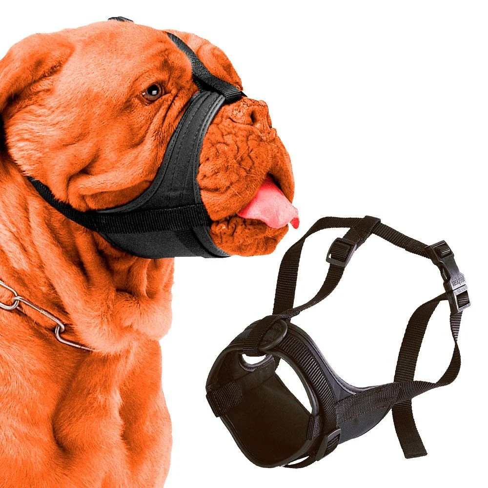 Museruola imbottita e regolabile per cani dal muso corto safe Boxer - Image 3