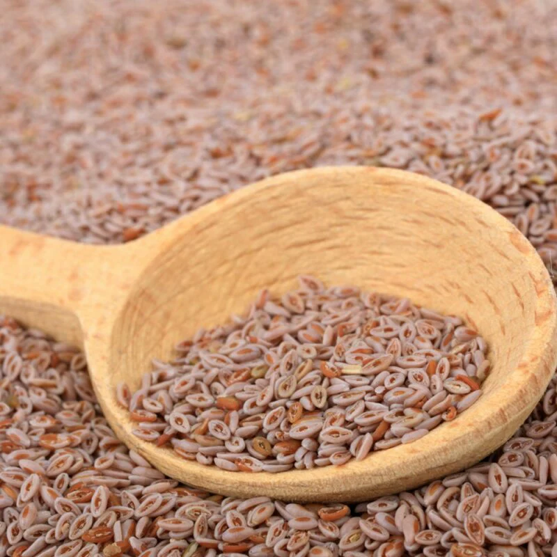 Natusat Flohsamen ganz - Supporto Naturale alla Digestione del Tuo Cavallo 1 kg - Image 3