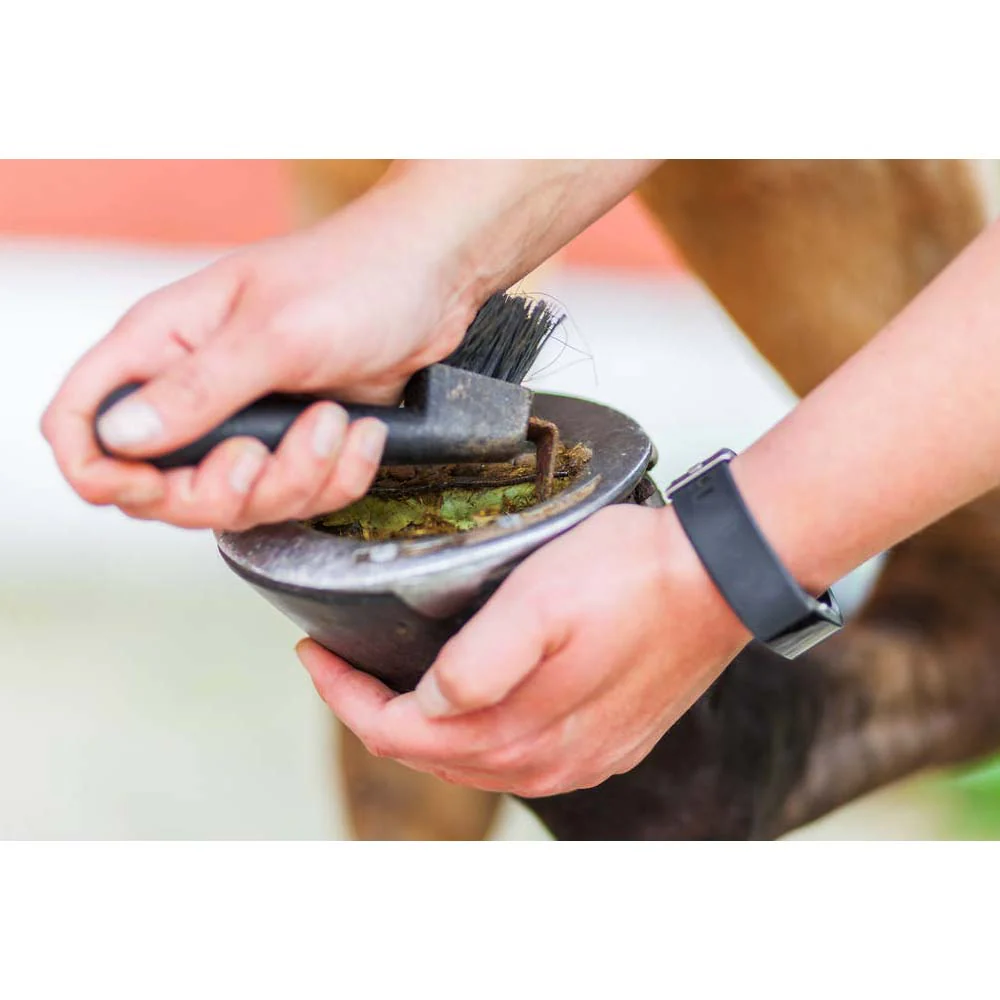 Nettapiede cavallo in plastica con spazzola - Image 21