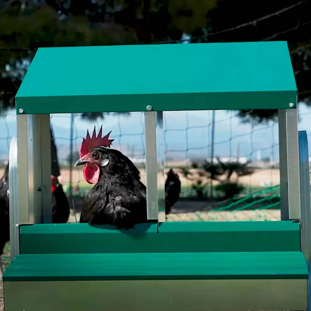 Nido con Cestino per Galline Ovaiole in Metallo e Plastica - Image 13