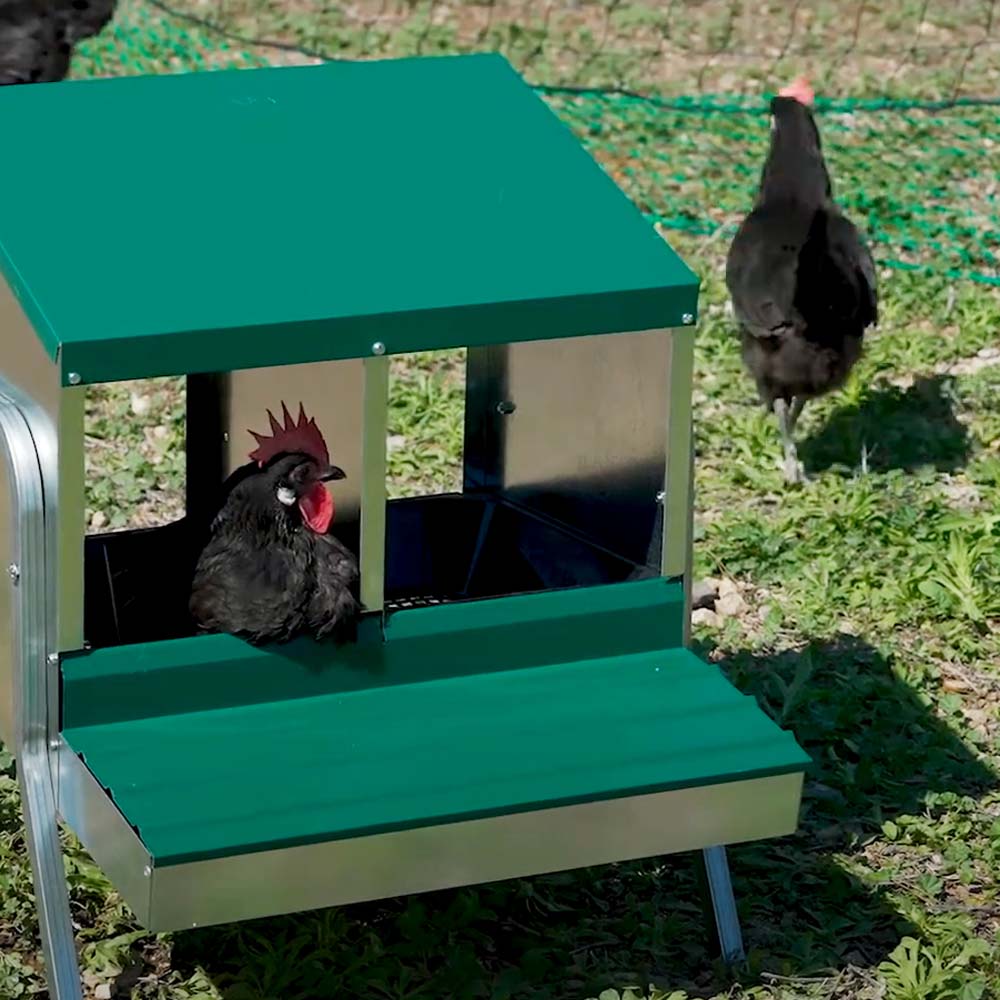 Nido con Cestino per Galline Ovaiole in Metallo e Plastica - Image 14