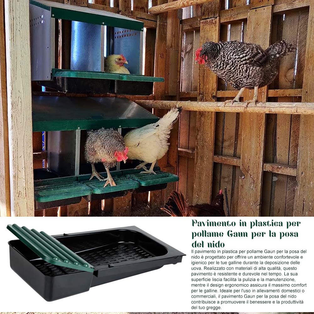 Nido con Cestino per Galline Ovaiole in Metallo e Plastica - Image 28