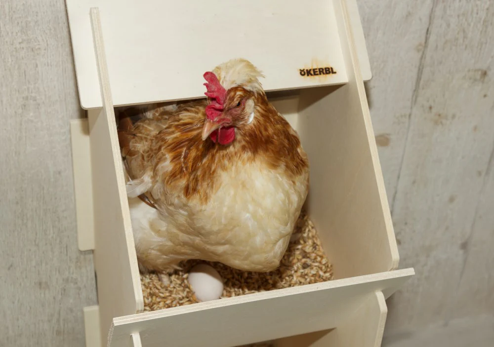 Nido in legno per galline per deposizione - Image 2