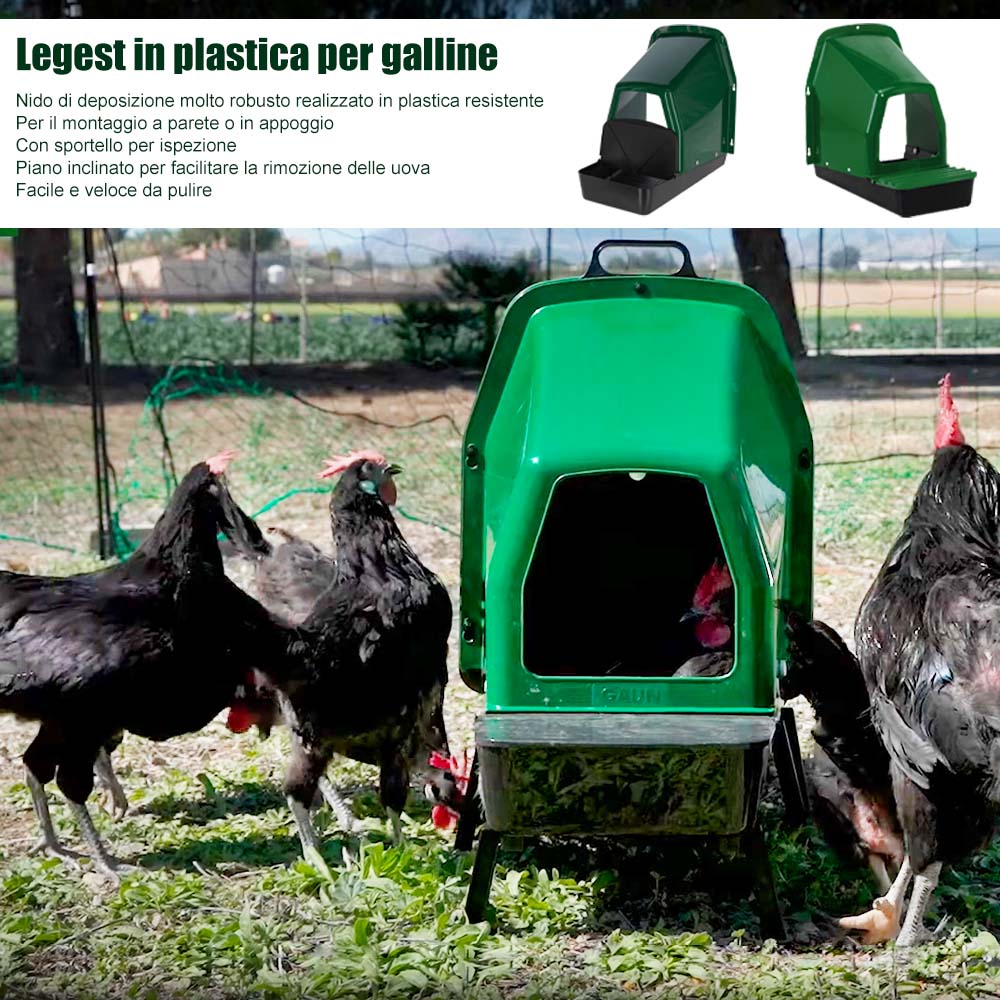Nido in Plastica per Galline – Resistente ABS Plastica (Con o Senza Gambe) - Image 12