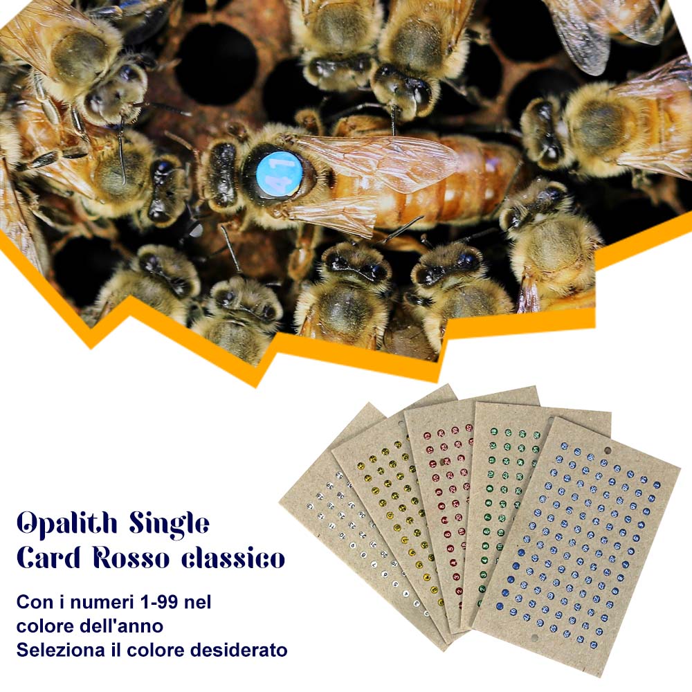 Opalith Single Card Rosso classico - Image 8
