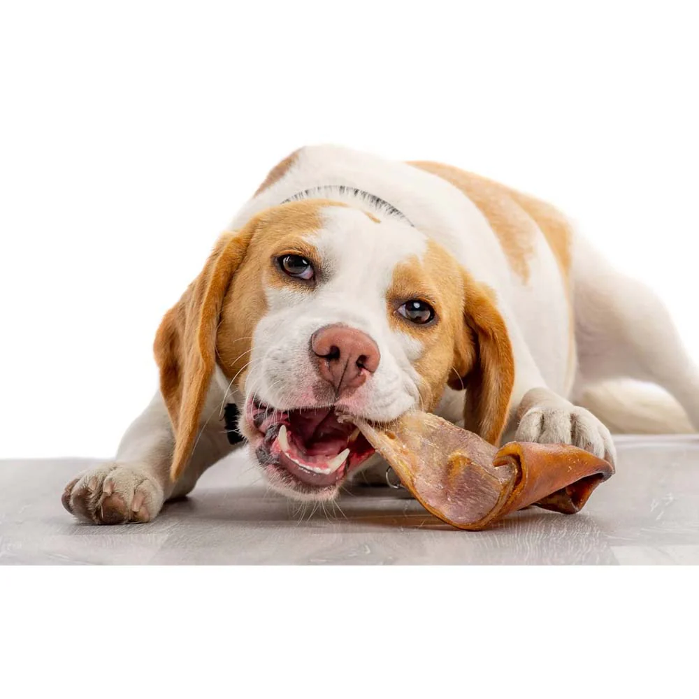 Orecchie di Maiale Naturali da Masticare per Cani - Image 4