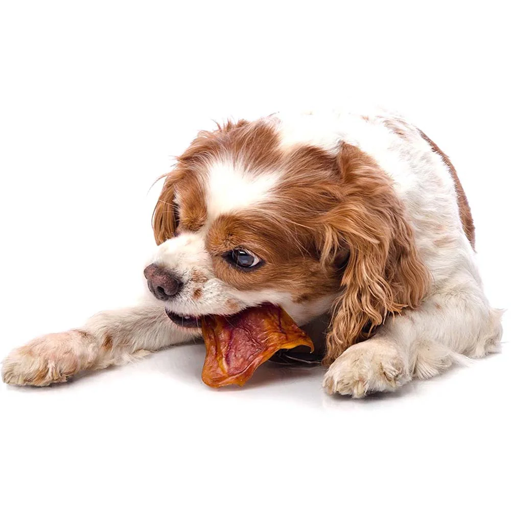 Orecchie di Maiale Naturali da Masticare per Cani - Image 6
