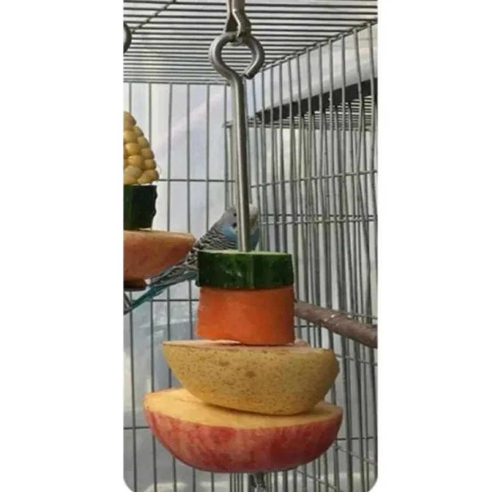 PA 4328 Porta Frutta per Uccelli – Ciotola Frutta Sospesa per Volatili - Image 3