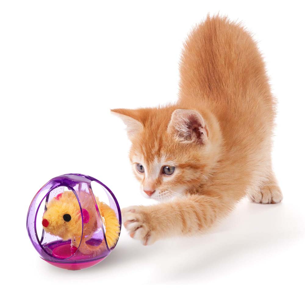 PA 5214 Giocattolo per gatti in plastica e peluche - Image 3