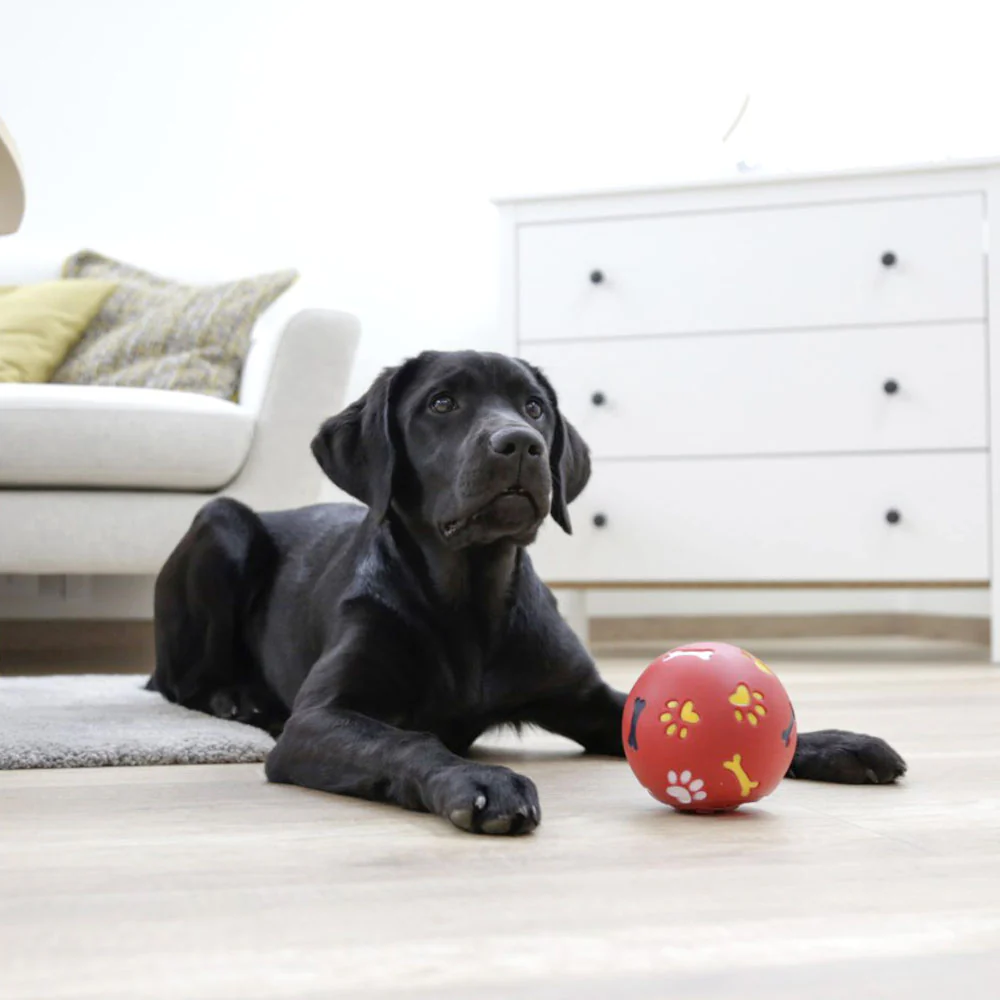 Palla snack per cani diametro 11cm rosso - Image 5