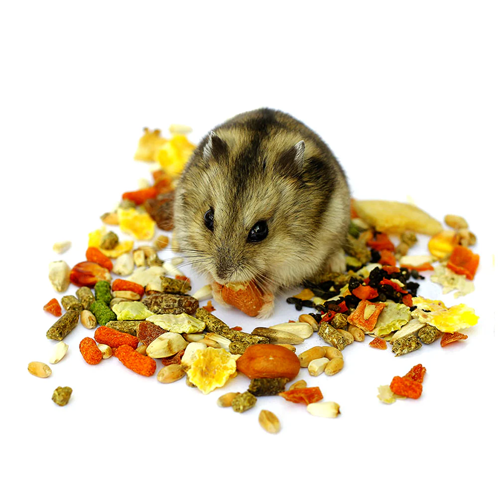 Panto Muesli di croccantini di roditore - 20 kg - Image 3