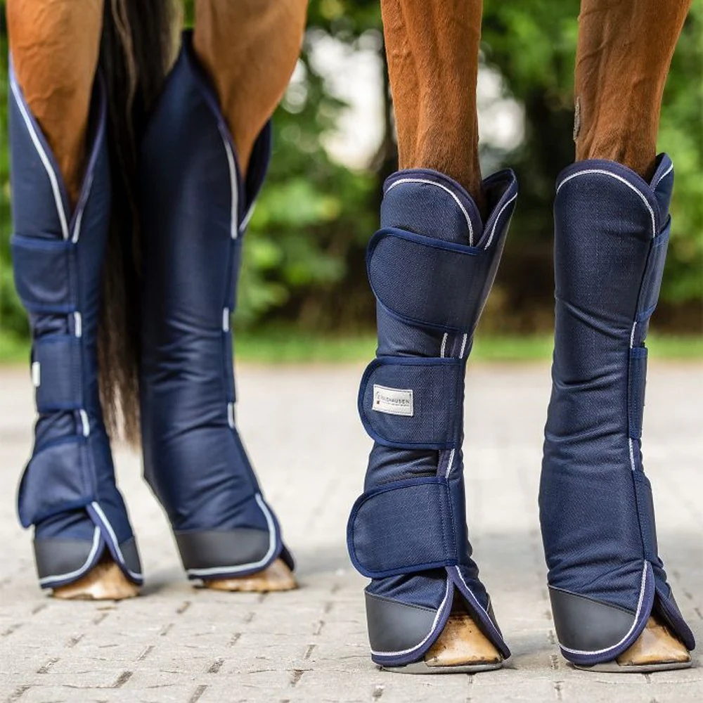Paranocche Trasporto Comfort Set 4 Protezione Cavallo - Image 2