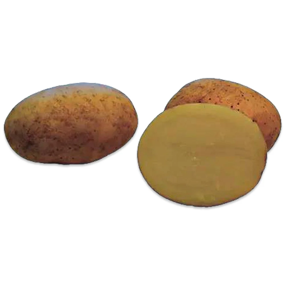 Patata Da Semina Mozart Rossa Con Polpa Gialla – 25Kg