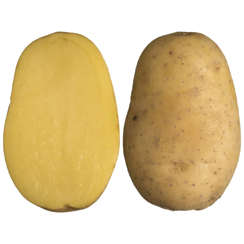 Patata Da Semina Sissi Polpa Gialla – 25Kg