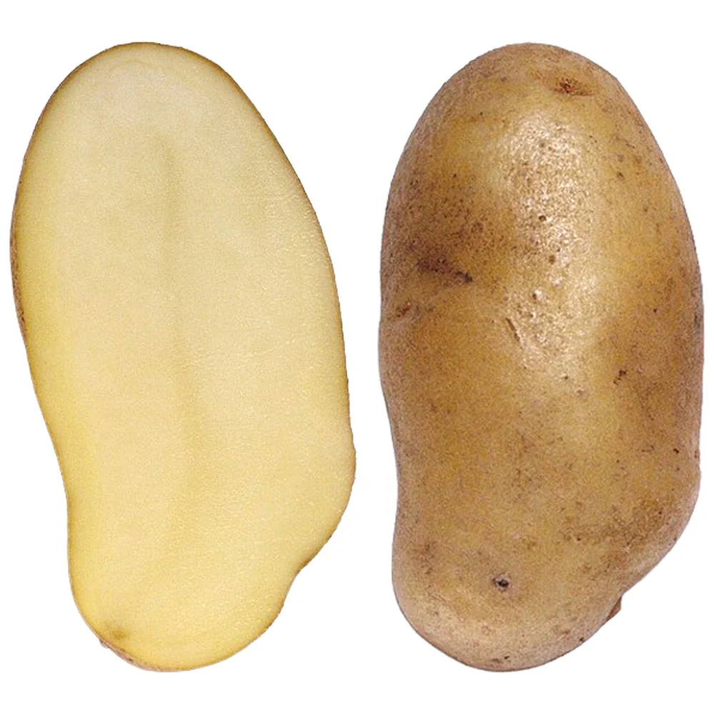 Patata Da Semina Solo A Pasta Soda – 25Kg