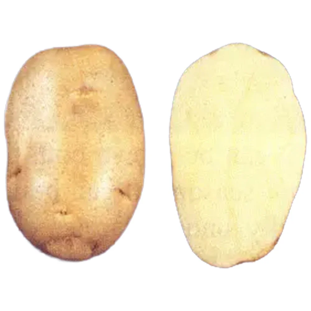 Patata Da Semina Spunta Precoci–Medie – 25Kg