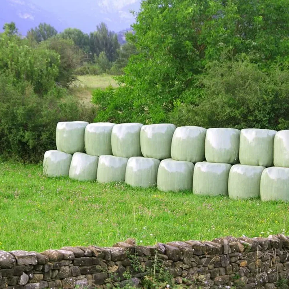 Pellicola da Imballaggio Silograss - Image 6