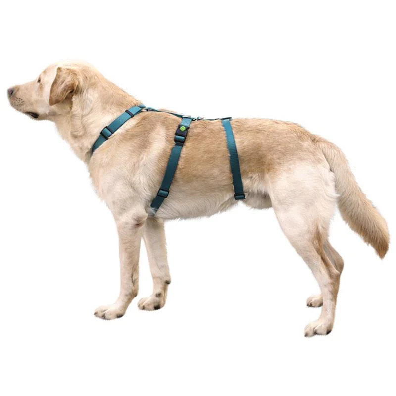 Pettorina antipanico Miami per cani - Image 10