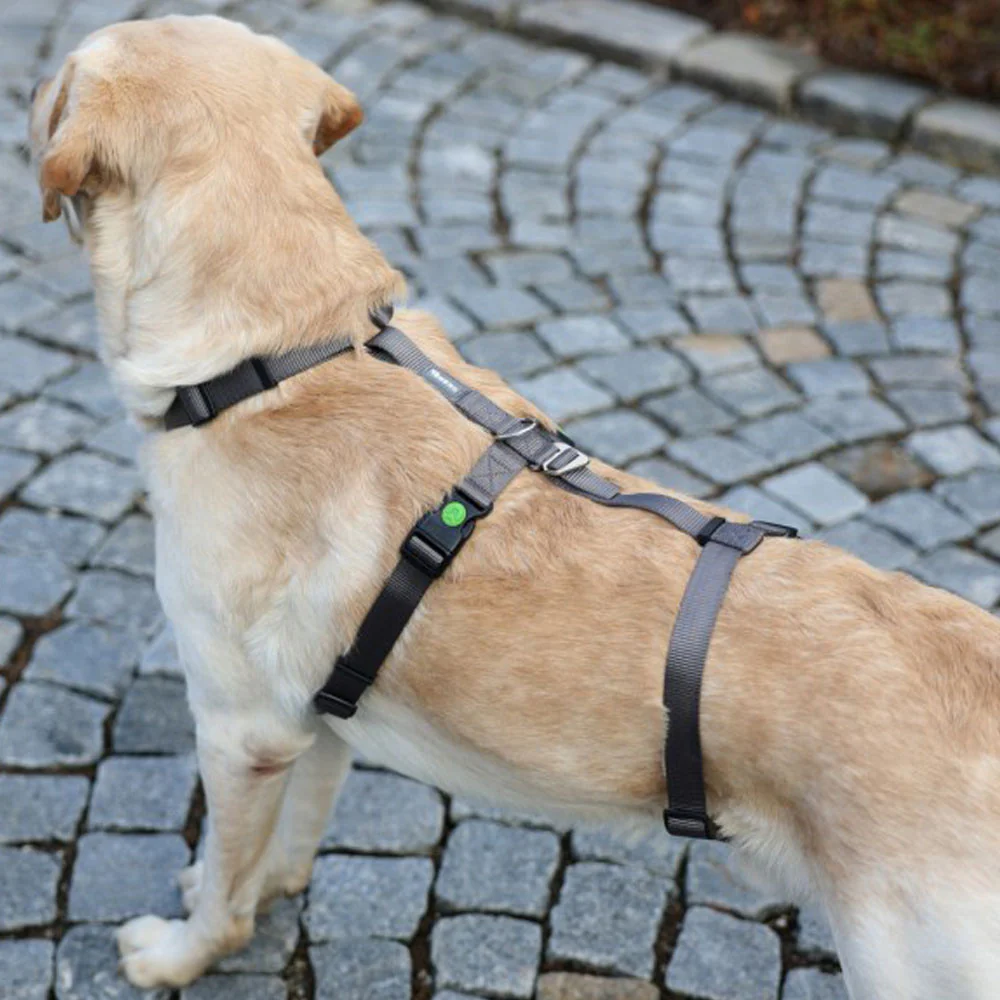 Pettorina antipanico Miami per cani - Image 3