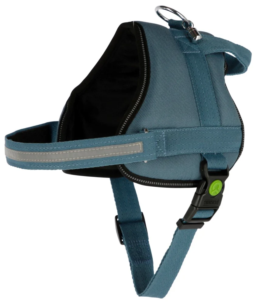 Pettorina Maestro 2.0 con Maniglia e Tubo Porta Indirizzo per Cani - Image 2