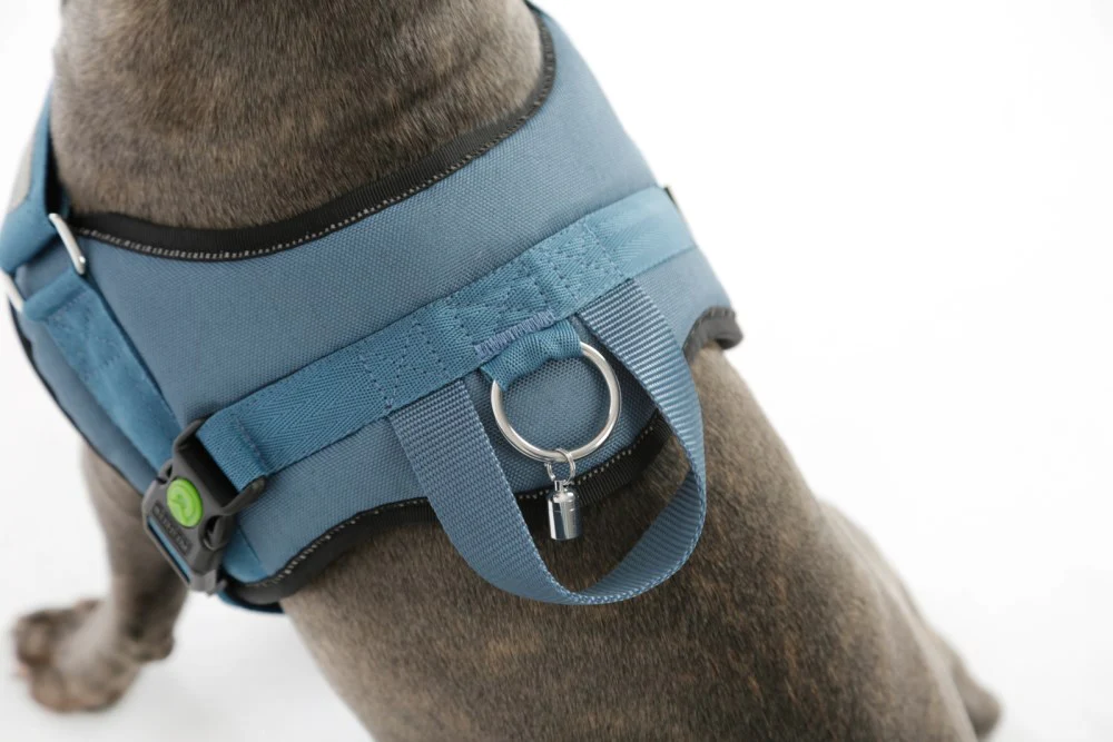 Pettorina Maestro 2.0 con Maniglia e Tubo Porta Indirizzo per Cani - Image 3