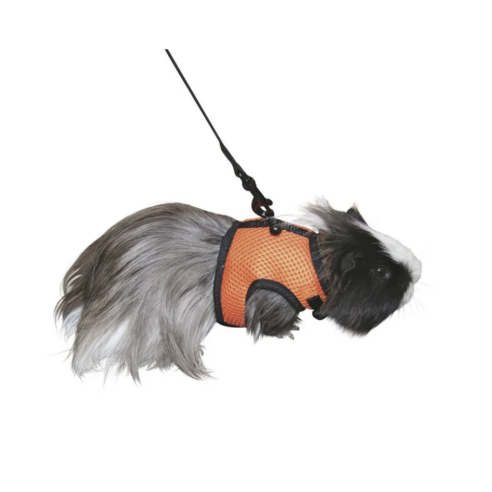 Pettorina per roditori sport guinzaglio flessibile 120 cm - Image 4