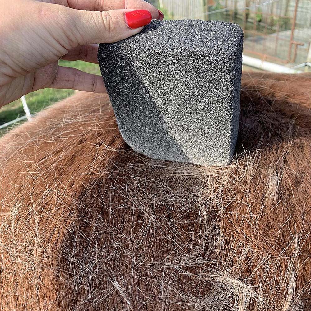 Pietra pomice per la cura e pulizia del cavallo - Image 2