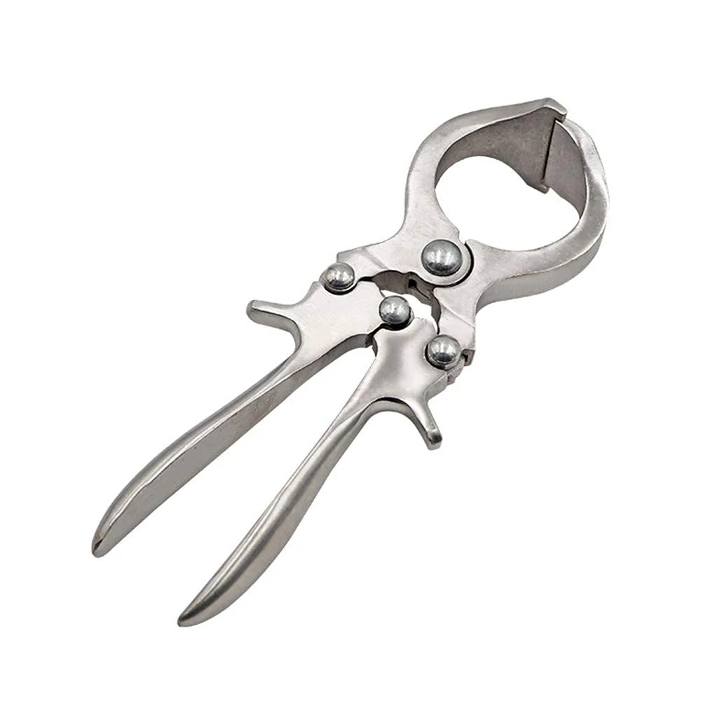 Pinza Castrazione Agnelli Inossidabile - Image 3