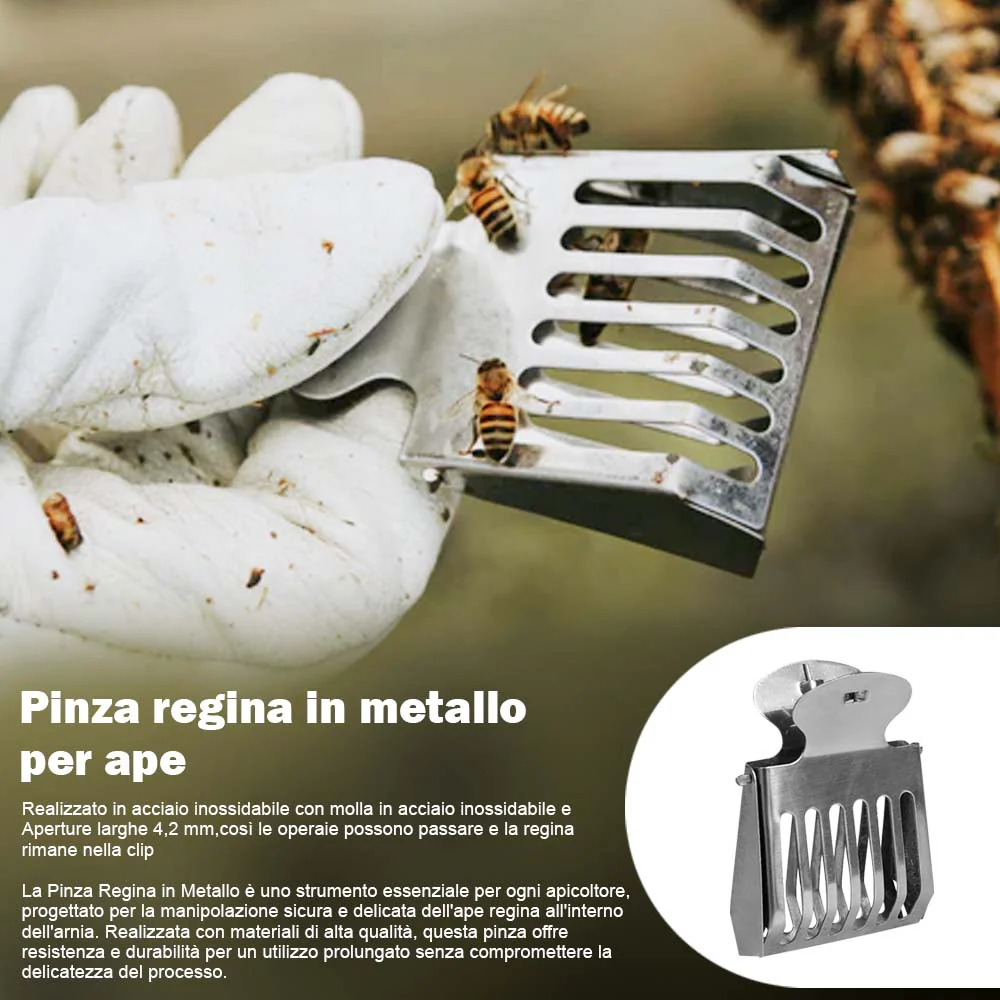 Pinza regina in metallo per ape - Image 13