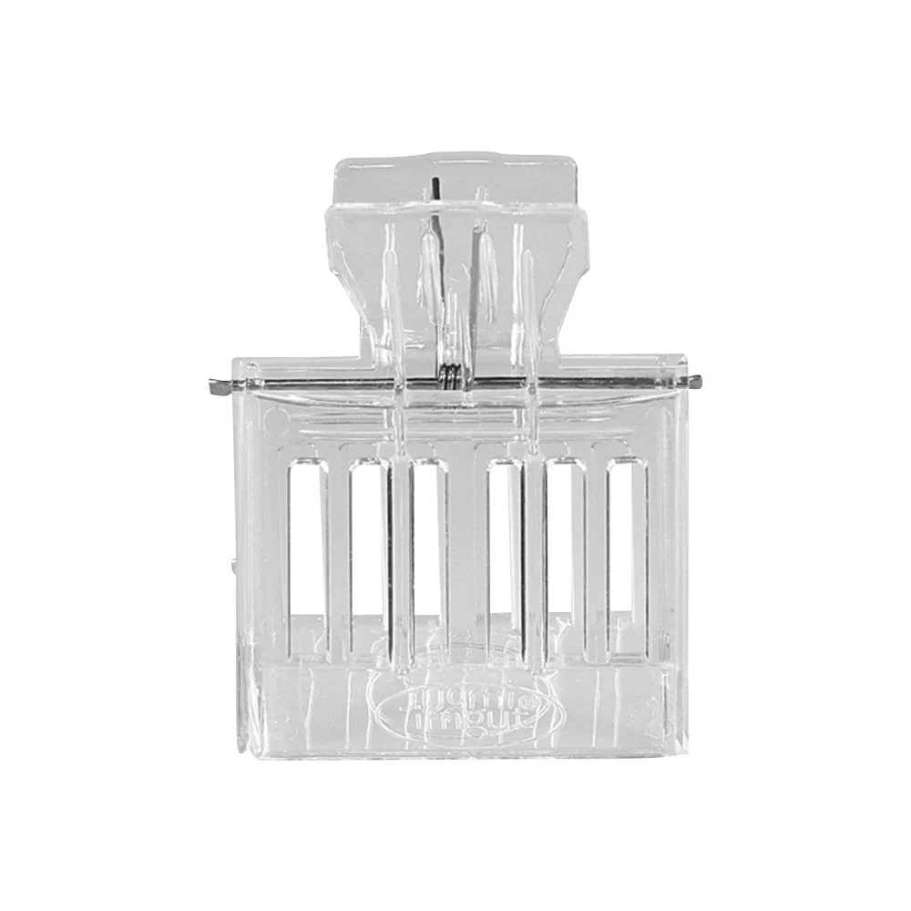 Pinza trasparente per ape regina in plastica - Image 3