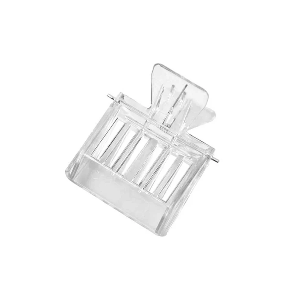 Pinza trasparente per ape regina in plastica - Image 5