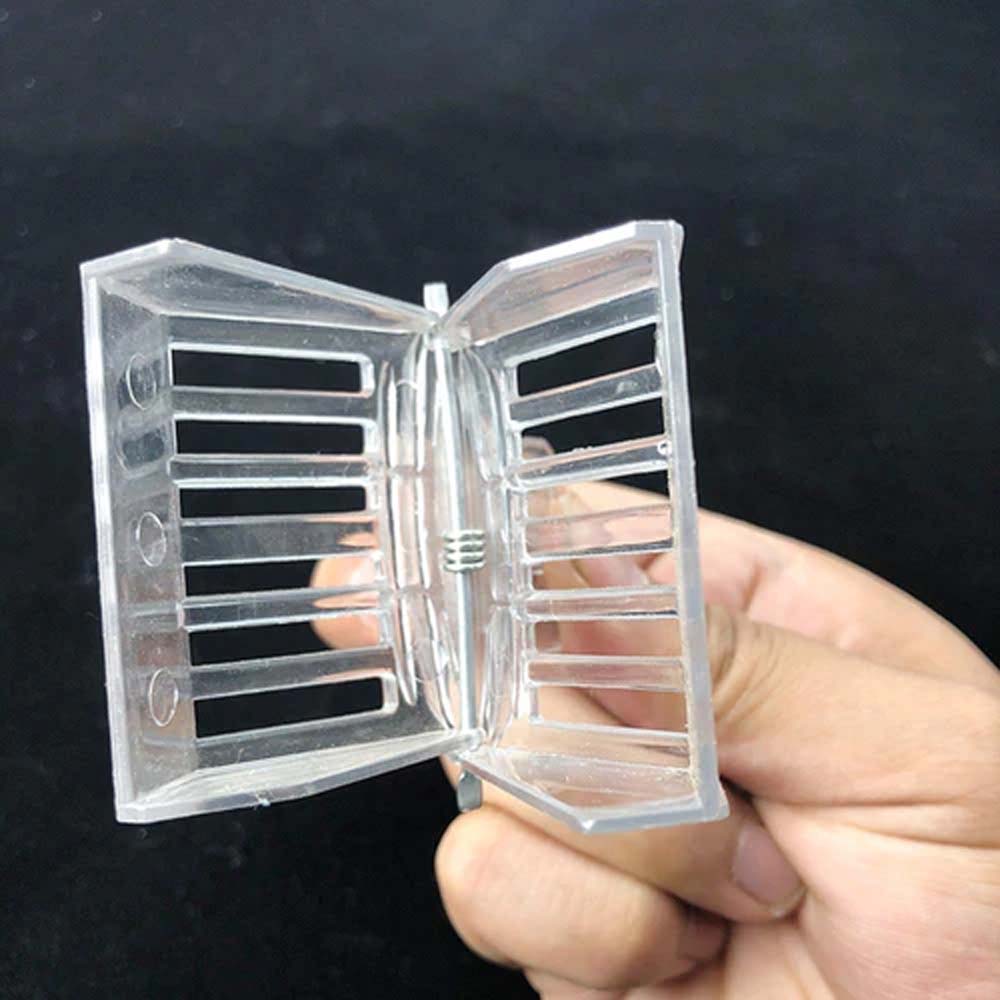 Pinza trasparente per ape regina in plastica - Image 6