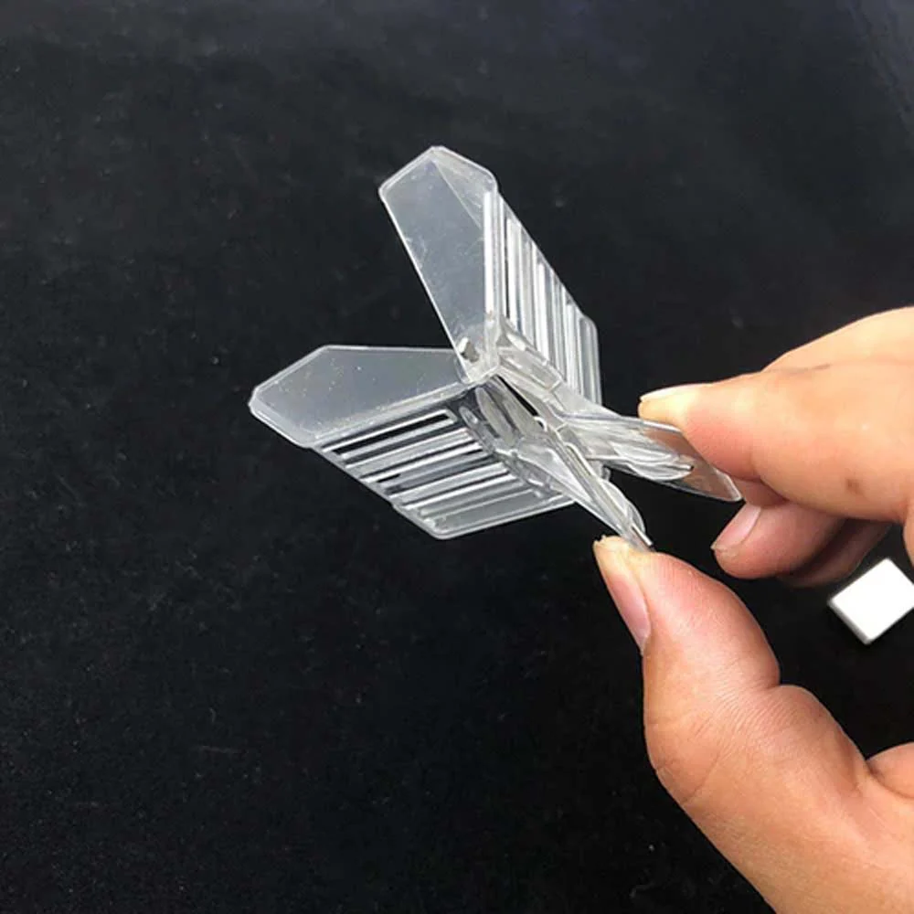 Pinza trasparente per ape regina in plastica - Image 7