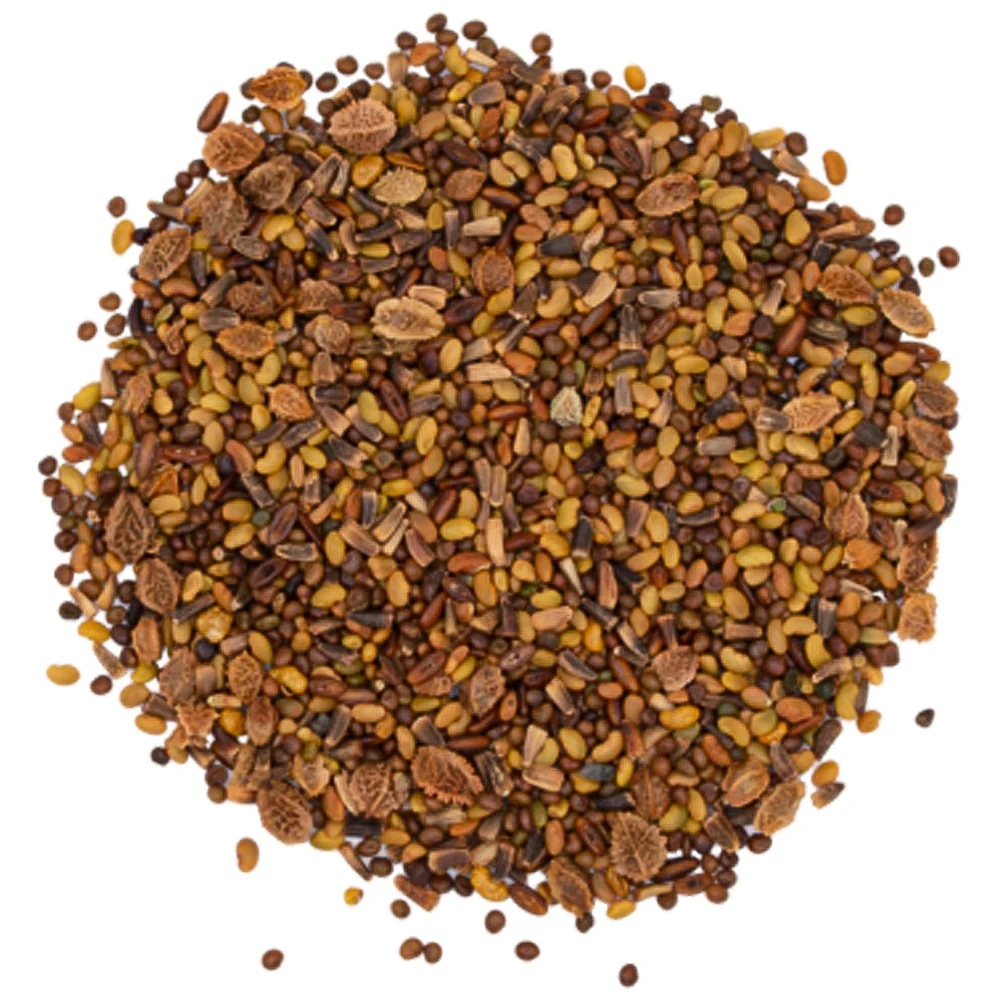 ProGreen Miscela Erbe Foraggere Umide 15 Specie Pascoli 5kg - Image 2