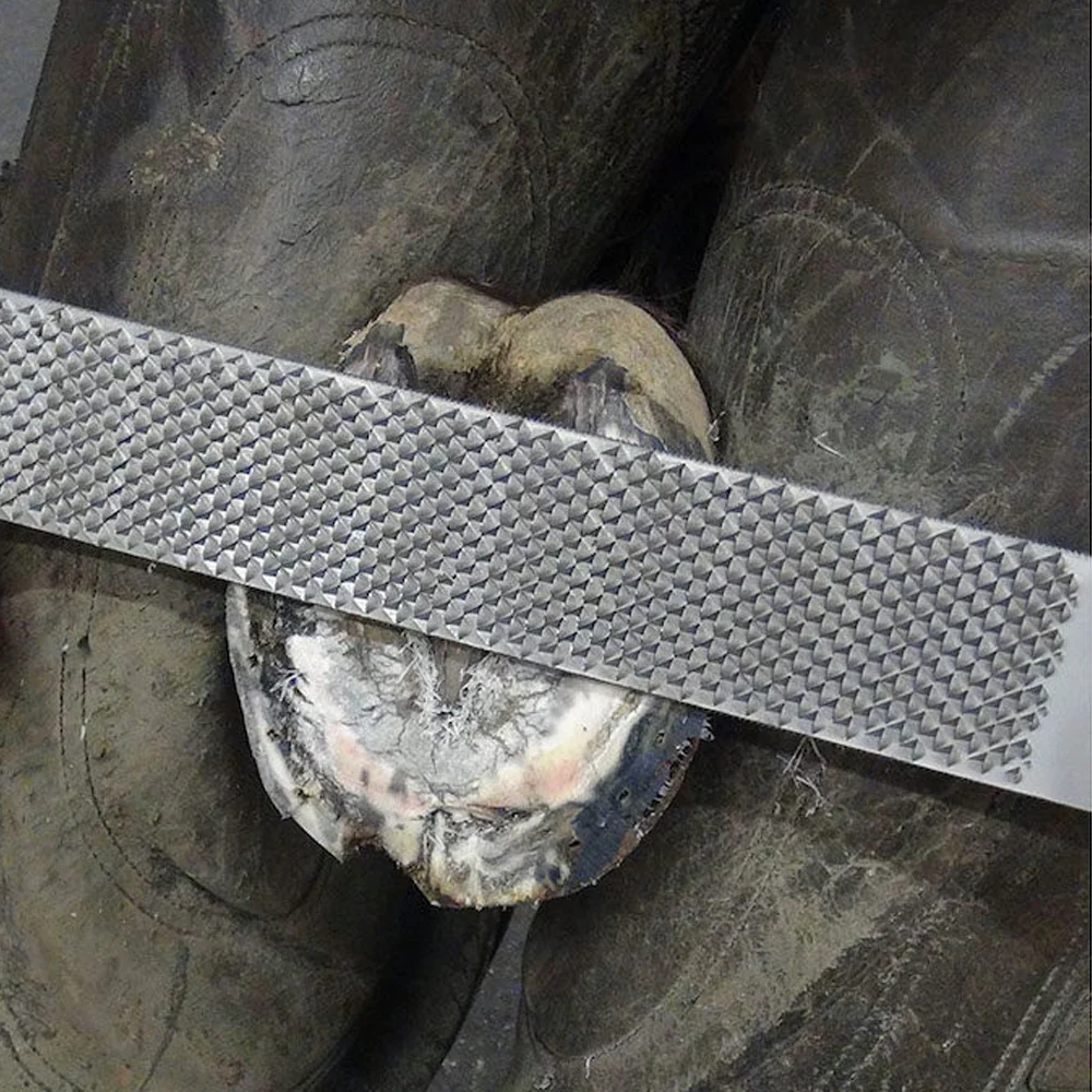 Rasp per Zoccoli, Design Dritto con Taglio della Lima Extra Affilato e Profondo - Image 6