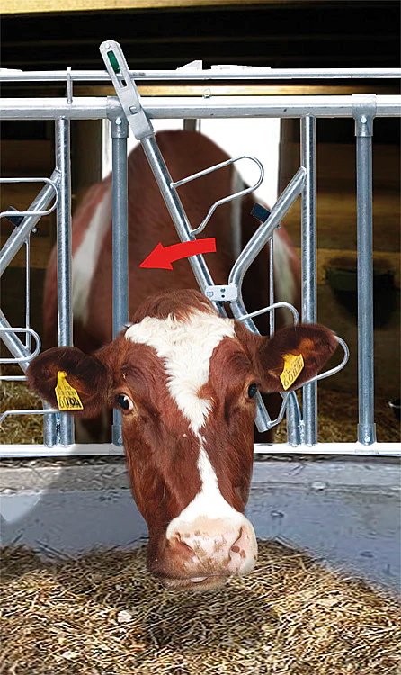 Recinzione di alimentazione di sicurezza autobloccante tipo SSV - Image 4