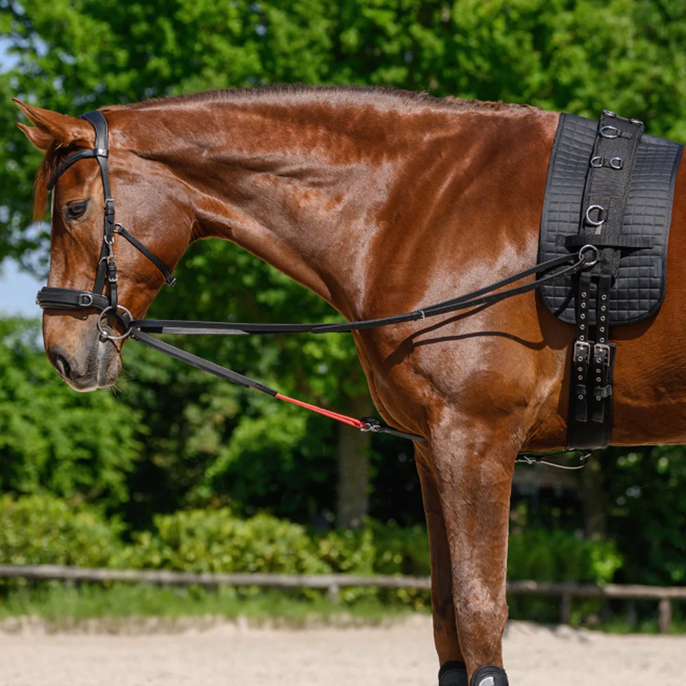 Redini Triangolari Regolabili in Pelle W-trainRein per Cavallo - Image 3