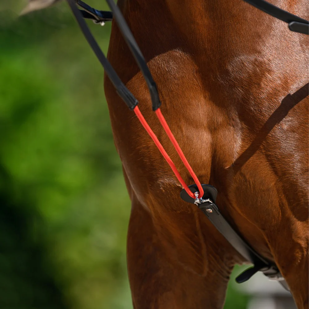 Redini Triangolari Regolabili in Pelle W-trainRein per Cavallo - Image 4