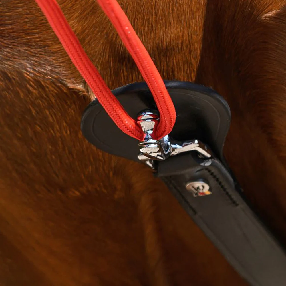 Redini Triangolari Regolabili in Pelle W-trainRein per Cavallo - Image 5