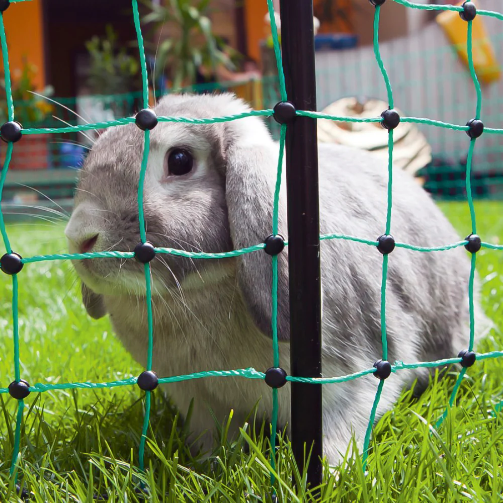Rete elettrificabile per conigli – protezione sicura per piccoli animali - Image 10