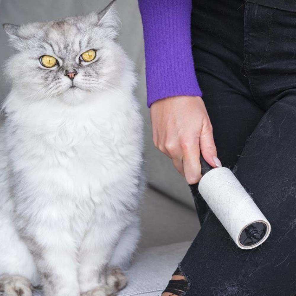 Rullo adesivo per raccogliere peli di cane e gatto - Image 5