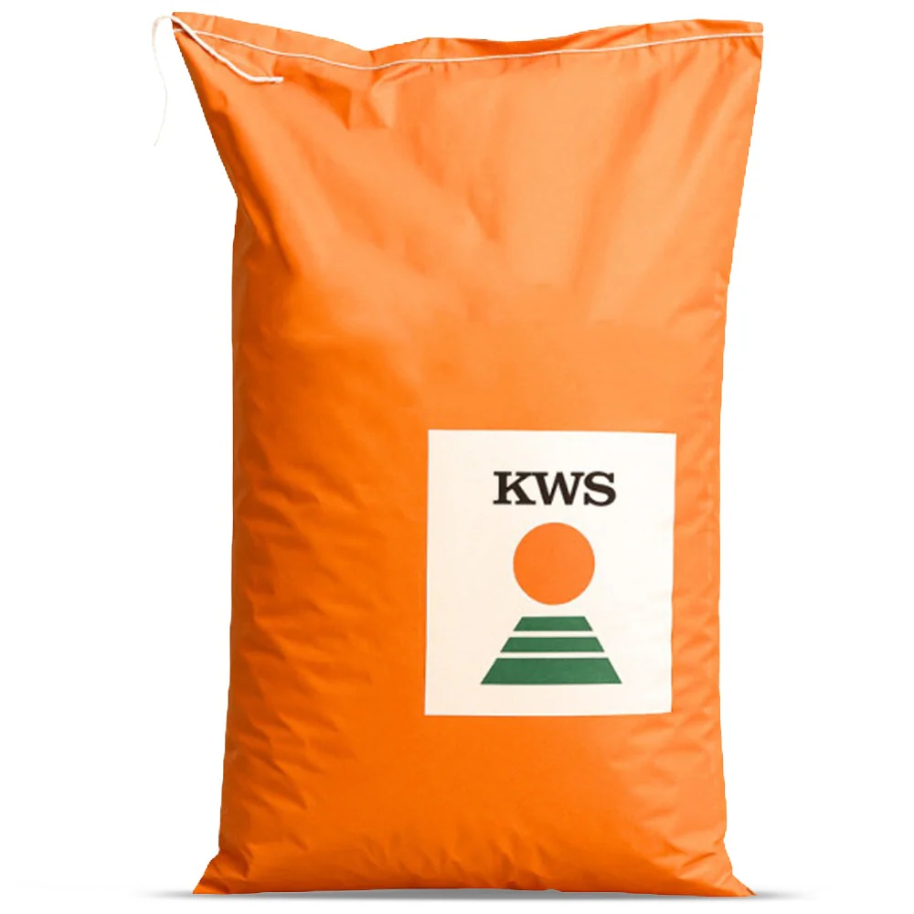 Sementi di Mais Curacao KWS Ibrido per Insilato