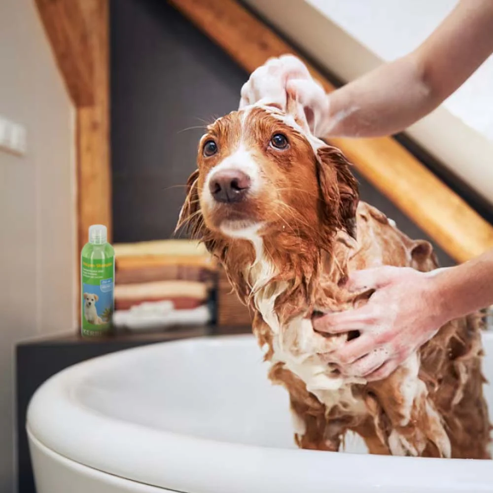 Shampoo Delicato Per Cuccioli Con Aloe Vera - Image 3