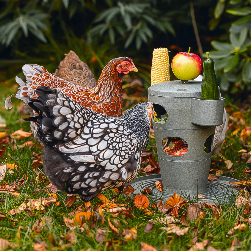 Snack per Pollame Ecologico / Tour Alimentare – Materiale 100% Riciclato - Image 10